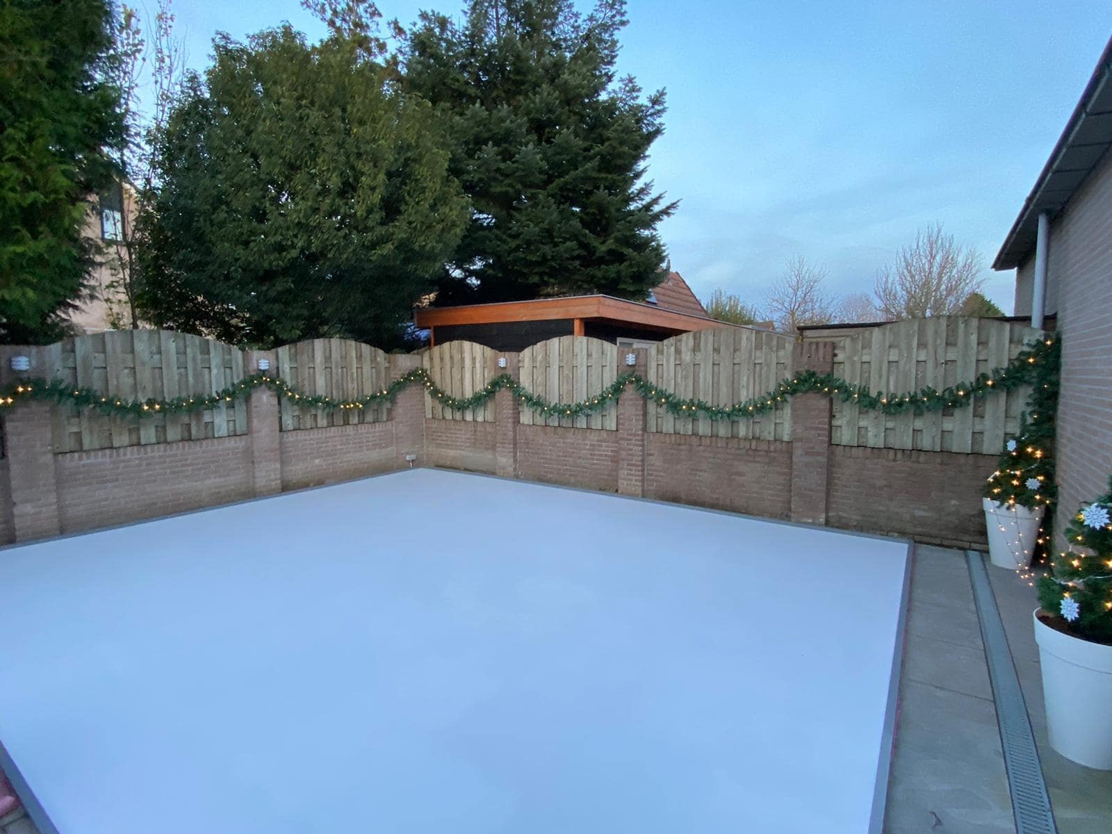 Christmas backyard rink