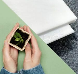 Hands holding a tree seedling